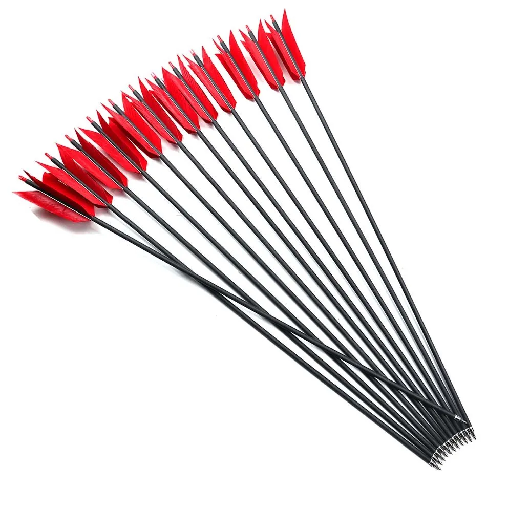 10 Calzini Con Gatti - Divertenti E Comodissimi, Taglia Unica