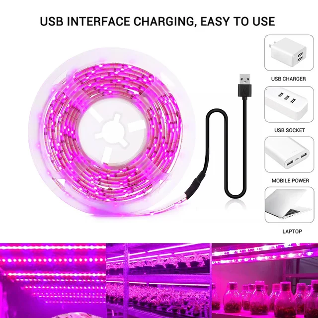 5 V Usb Led Növény Növekedés Világos Teljes Spektrum 1-5 M Plant Light Strip Phyto Lámpa Üvegházhatású Virág Palánta Grow Sátor Hidroponikus - Image 5