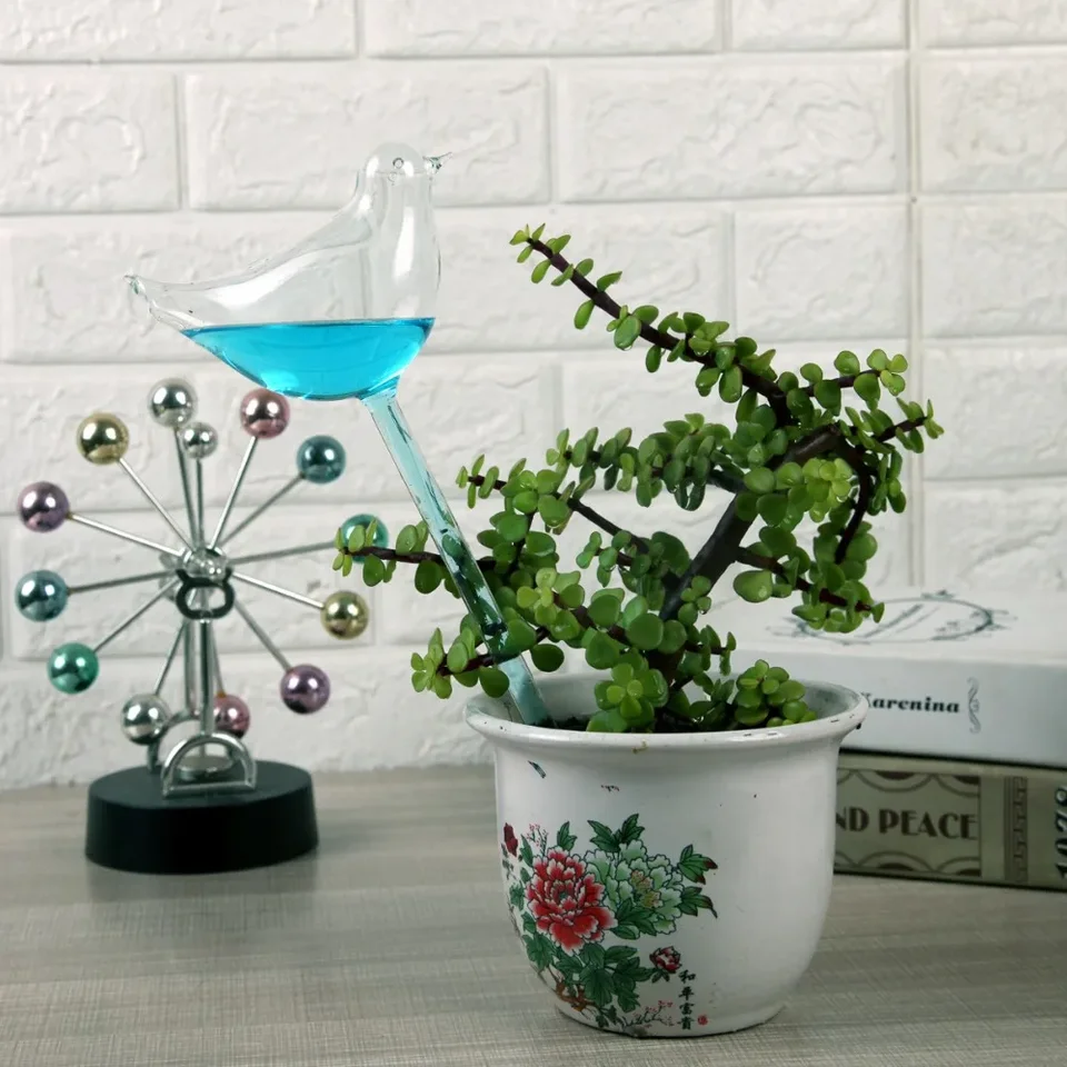 Riego Automático Para Plantas Con Bulbo Transparente - Dispositivo Para Macetas De 25cm
