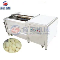 Commercial Sweet Potato Potato Cleaning and Peeling Equipment Rootstalk Vegetable Brush Cleaning Machine 1