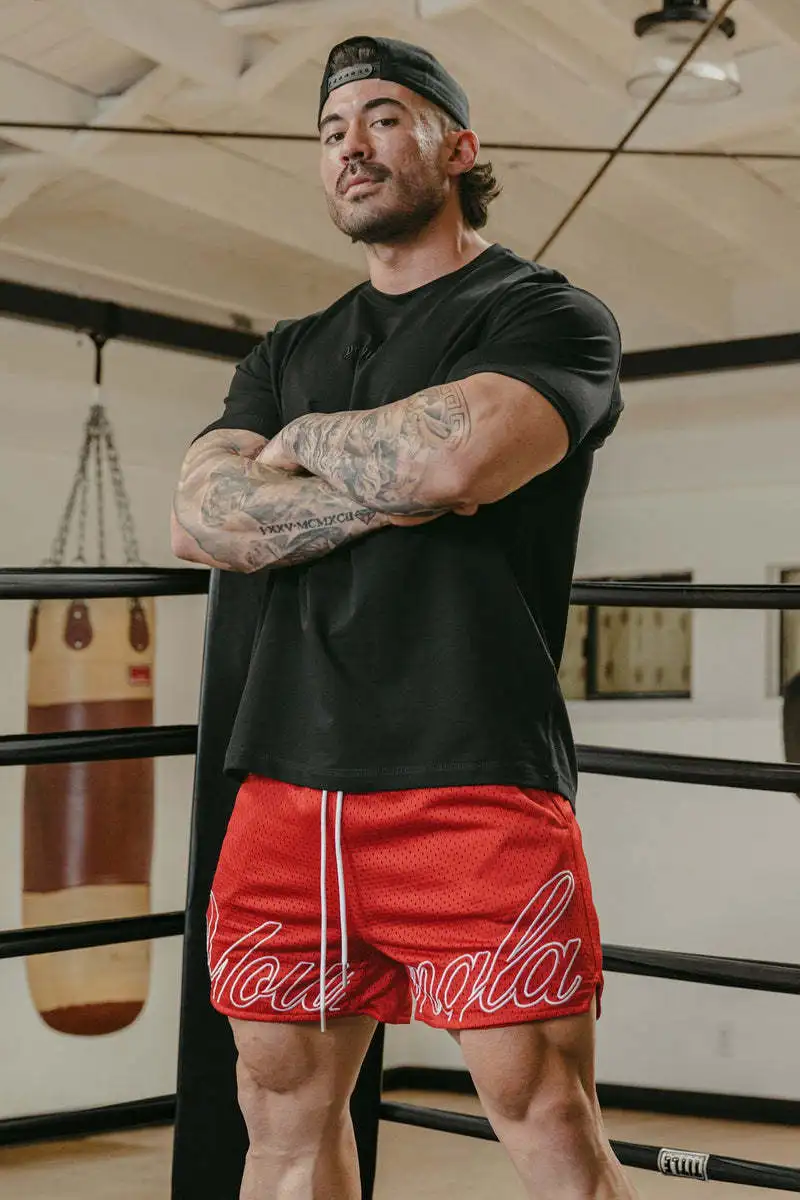 Shorts Men's Sports Mesh Quick Drying Hipster Boxing Leg Training Hole Cloth Muscle Fitness Basketball Hipster Pants 5