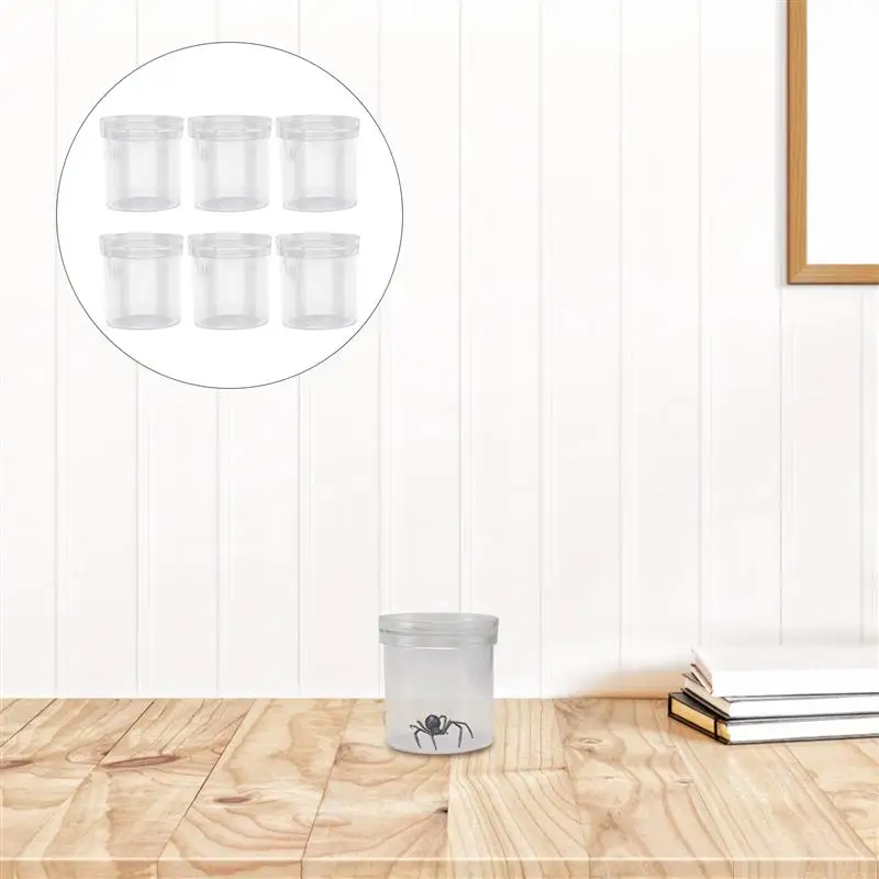 6Pcs Transparent Insect Observation Cup