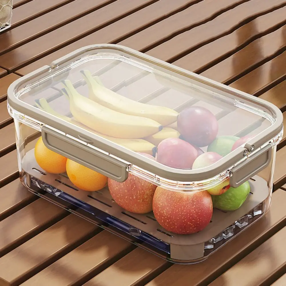 Thenshop 20 Scatole Cupcake Trasparenti Con Manici - Contenitori Per