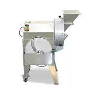 turmeric ginger chips potato chips carrot slices onion dehydrator drying machine 1