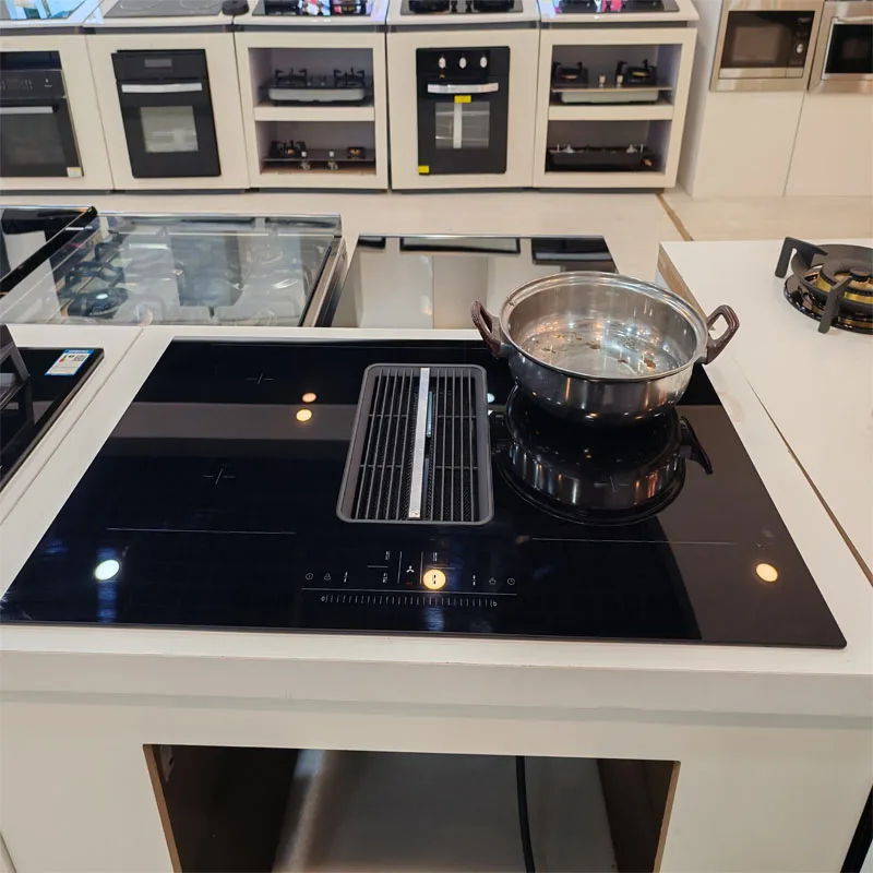 Home Appliances Induction Cooker With 2 Burners Induction Built in Oven Germany IGBT - Image 2