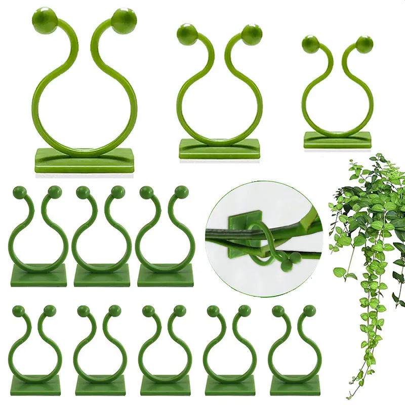 Invisible Wall Rattan Clamp Plant Climbing Wall Self-Adhesive Fixator Self-Adhesive Hook Plant Bracket Sticky Hook Support plant climbing support plant adhesive hooks plant wall hooks