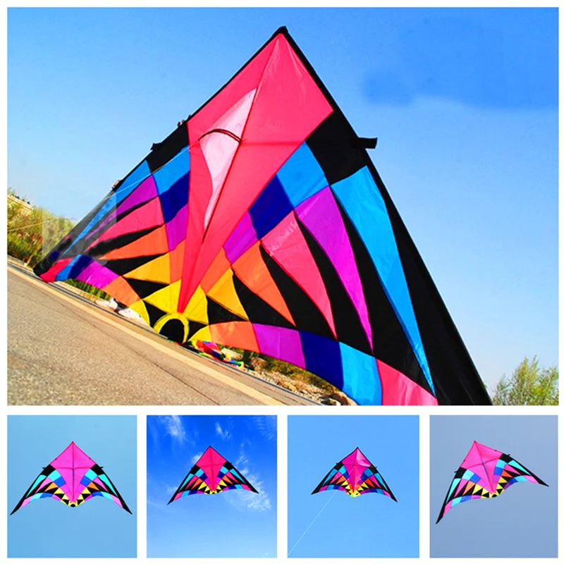Free shipping large delta kites professional for adults kites flying