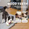 All For Paws Dogs Bone Chew Toys Nearly Indestructible Non-Toxic Anti-bite Aggressive Chewers Super Nylon Bone With Beef Flavor 3