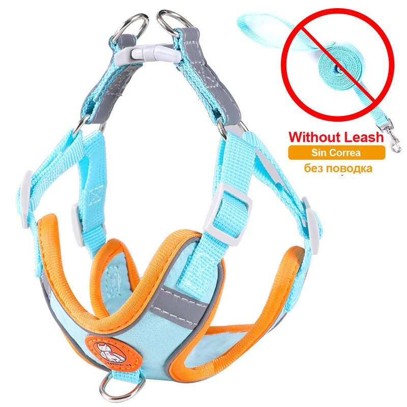 Blue No Leash