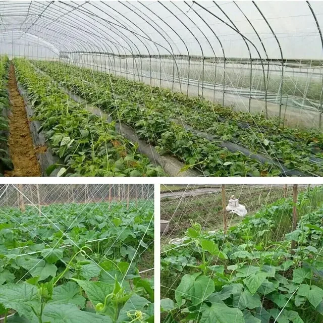 All-Weather Trellis Netting Mesh Heavy-Duty Plant Support Stand for Flowers Vegetable Vine Climbing String Net Gardening Tools 5
