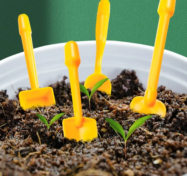 Activity Plant Children'S Planting Homework Experience The Fun