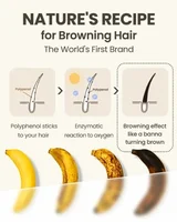 YH03 tueur de cheveux blancs cheveux blancs à noirs traitement de sérum d'essence de cheveux Anti-gris restaurer la couleur naturelle des cheveux et restaurer la santé 6
