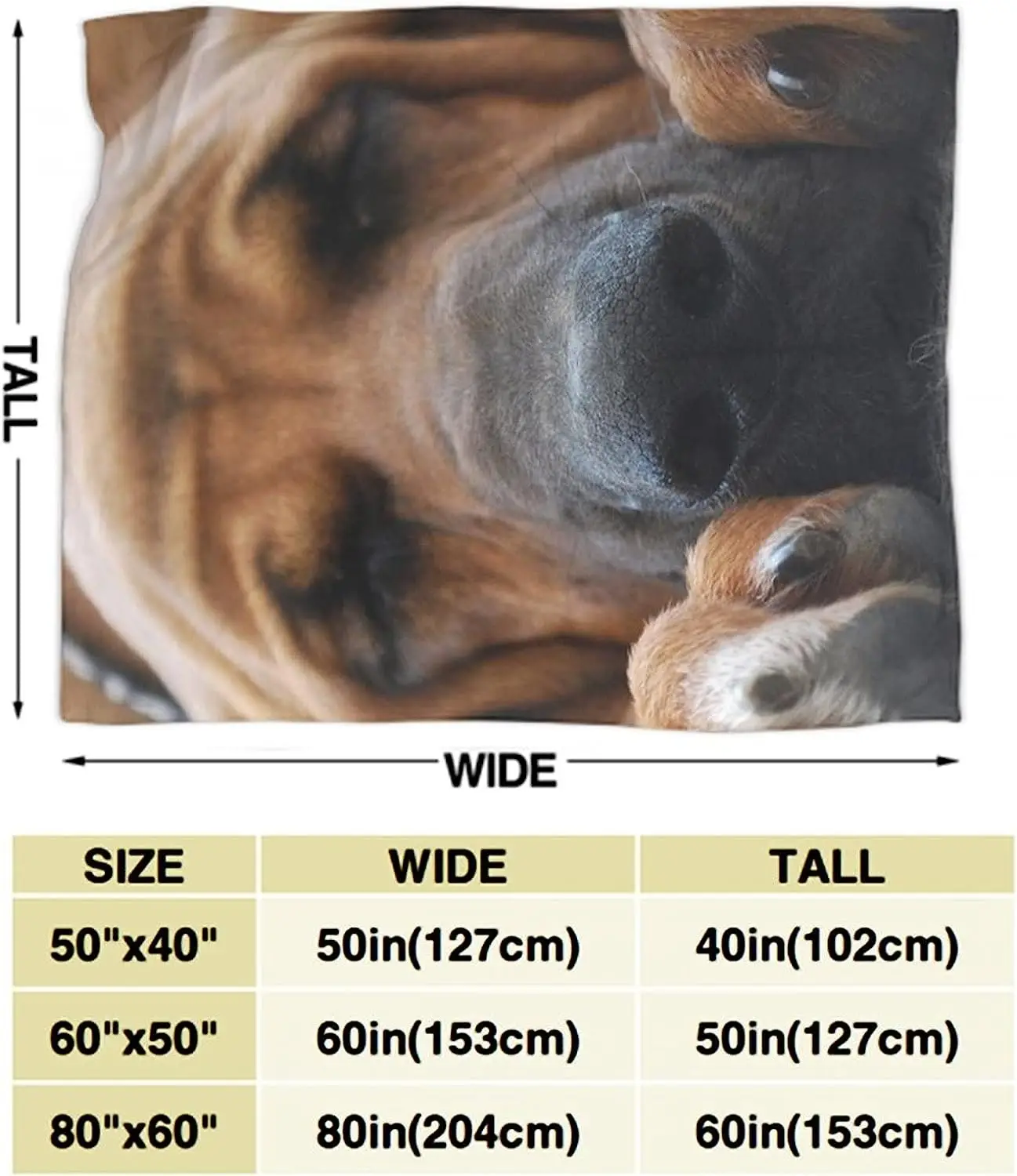 ���� ��̿� ����� ���, �ƴ��� �ε巴�� ������ ������ ���, ������ ����, ������ �Ͽ�� ��