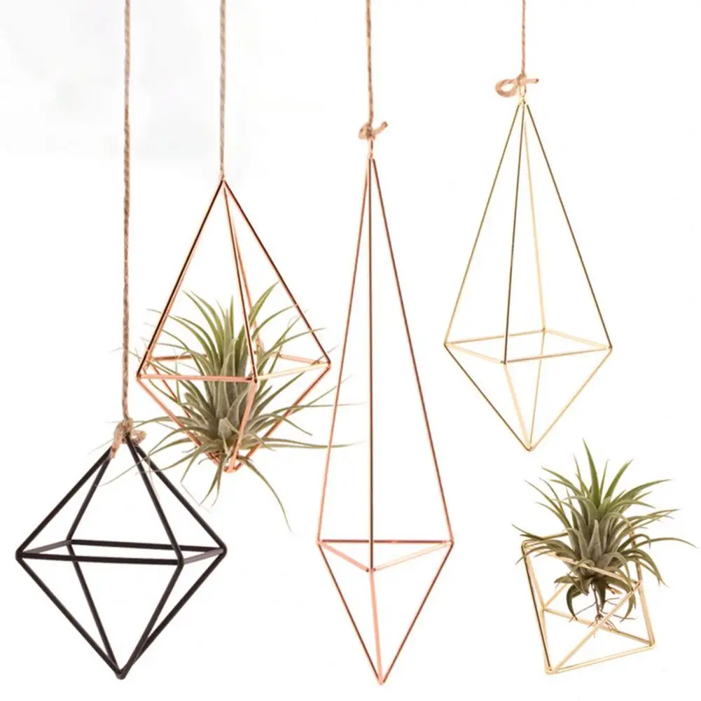 

Air Plant Holder Propagation Stations Glass Terrarium Metal Plant Stand Geometric Shape Plant Iron Stand Home Decorations