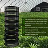 Folding Dry Rack Herb Vegetable Dryer 2-8Layers Drying Net for Fish Herbs Hanging Basket with Mesh Flowers Buds Plants Organizer 3