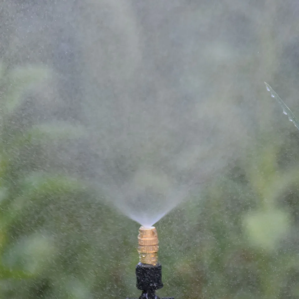 Sistema di raffreddamento a nebbia a bassa pressione per giardino e