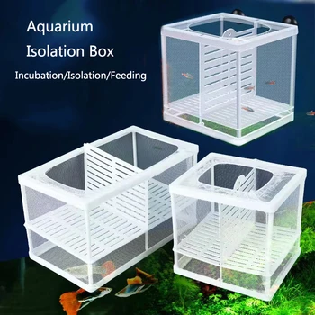 Caja de aislamiento de cría de peces de acuario de plástico, incubadora de incubación de pecera, accesorio de alimentación Aislador 1