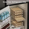 Clear 60 Egg Container for Refrigerator, Egg Holder for Fridge,Stackable Egg Storage Container, Egg Fresh Storage Box Tray 6