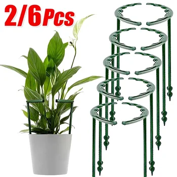 2/6Pcs Plant Support Pile Stand Semicircle Frame Fixed Rod Holder Gardening Arrangement Flower Vine Climbing Bracket Bonsai Tool