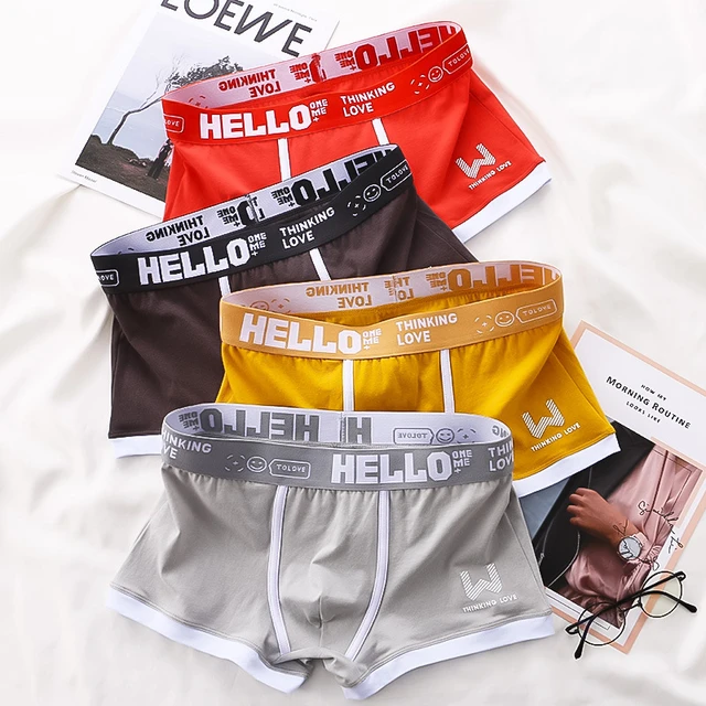 Mens Underwear Sexy Underpants Cotton Sexy Breathable Underwear Briefs Men Sweat  Proof Underwear for Men - AliExpress