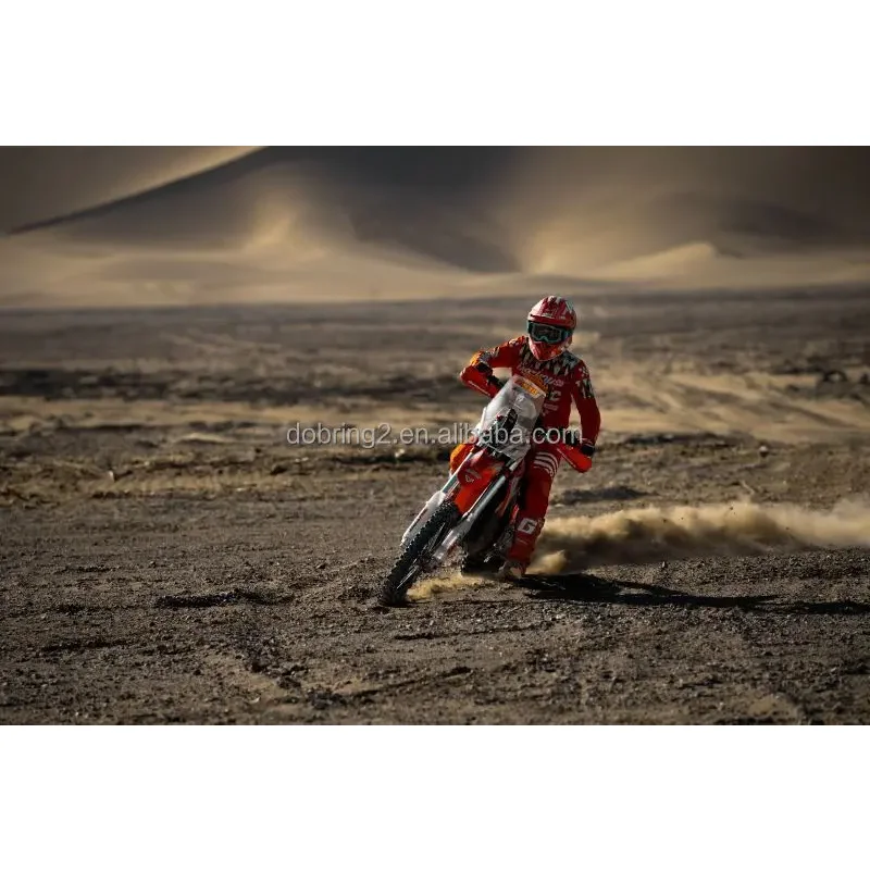 2025 Arctic Leopard E-X 800 800Nm Electric Motorcycle Powerful Mountain Bike Genre 115km/h - Image 5