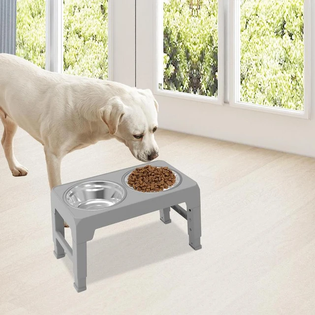 Elevated Dog Bowls Raised Pet Bowl Stand Feeder with 2 Stainless Steel Bowls  Food Feeder Stand for Pets Puppy Cats Large Dogs - AliExpress