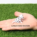 Dalmatian dog