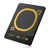 Индукционная варочная панель мощностью 2200 Вт с 10 уровнями мощности, стеклянная поверхность, нескользящая конструкция, интеллектуальный контроль температуры, вилка европейского стандарта