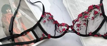 black-and-red-bra