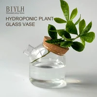 New Small Vase Transparent Glass Flower and Green Plants Cultivation Small Bottle Home Living Room Garden Decoration Small Vase 1