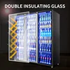 Commercial Display Freezer 2 Door Beverage Cooler Freezer Refrigerator Display Cooler 4