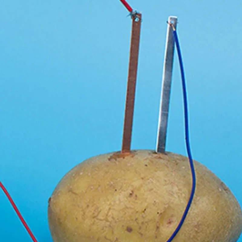 Children's Bio Energy Science Kit: Fun Potato Electricity Experiment Set