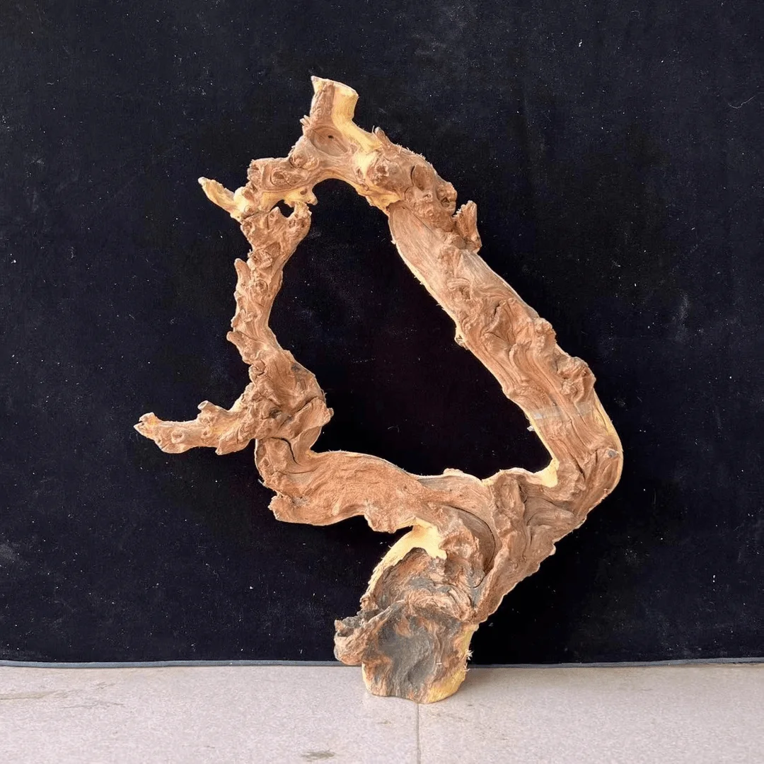 Legno Per Pesci Decorazione Legno Driftwood Per Acquario - 1 Pezzo - Foto 11