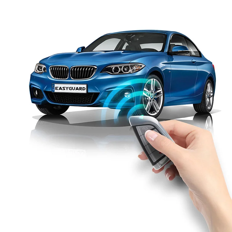 Рисунок 3 - EasyGuard Plug Play заводской ключ