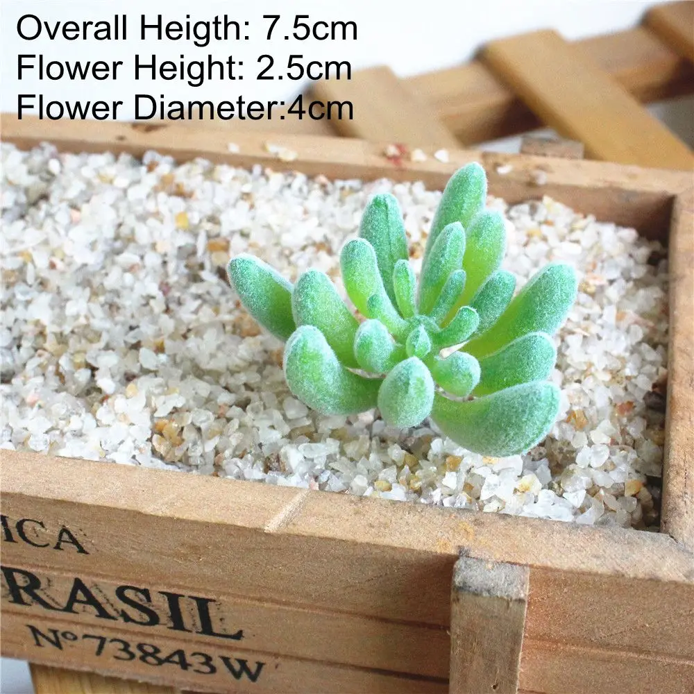 Vibrant Multicolor Flocking Succulent Plants