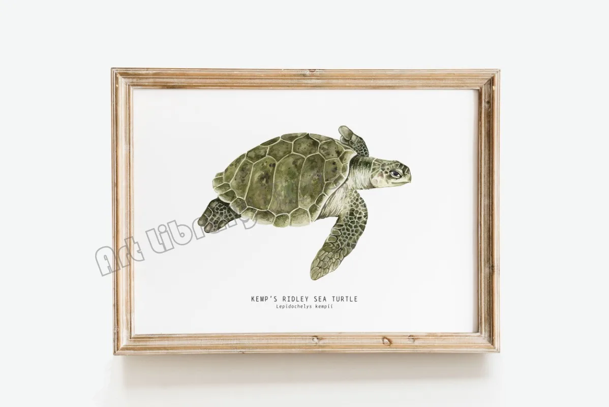 Marine Life Ocean Animals Canvas Art Poster - Whales, Sharks, and Turtles