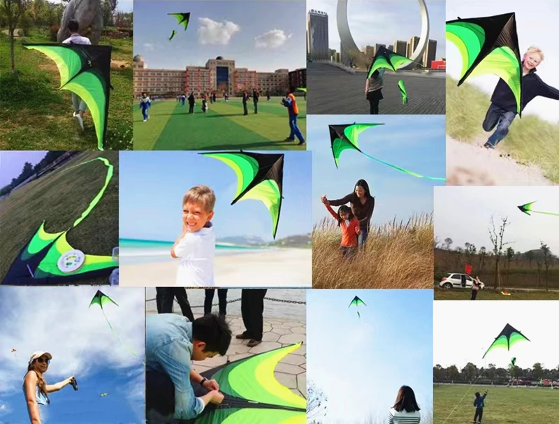 2m großer Delta-Drachen zum Fliegen im Freien, Sport-Drachen mit Schnur, Outdoor-Spielzeug für Kinder, Wind-Drachen, Kinder-Kitesurfen, Koi – Detail 1
