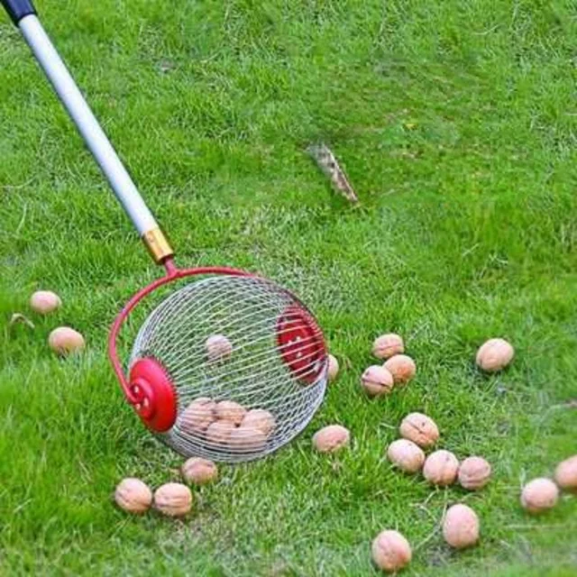 Golyógyűjtő Gördülő Anya Betakarító Golyó Választható Kültéri Kézi Szerszámok Válogató Gyűjtő Dió Pekándió Rák Alma - Image 6