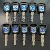10PCS