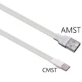 AMST-CMST-WH