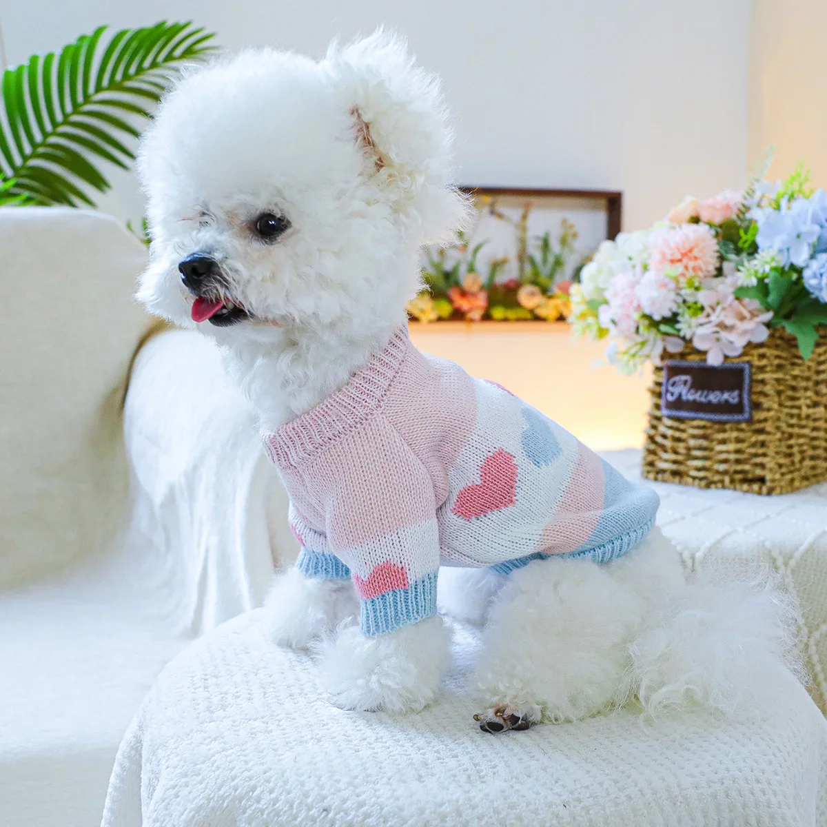 1PC 애완 동물 의류 봄과 가을 개 후드티 탄성 블루 핑크 러브 자카드 스웨터 소형 및 중형 개에게 적합
