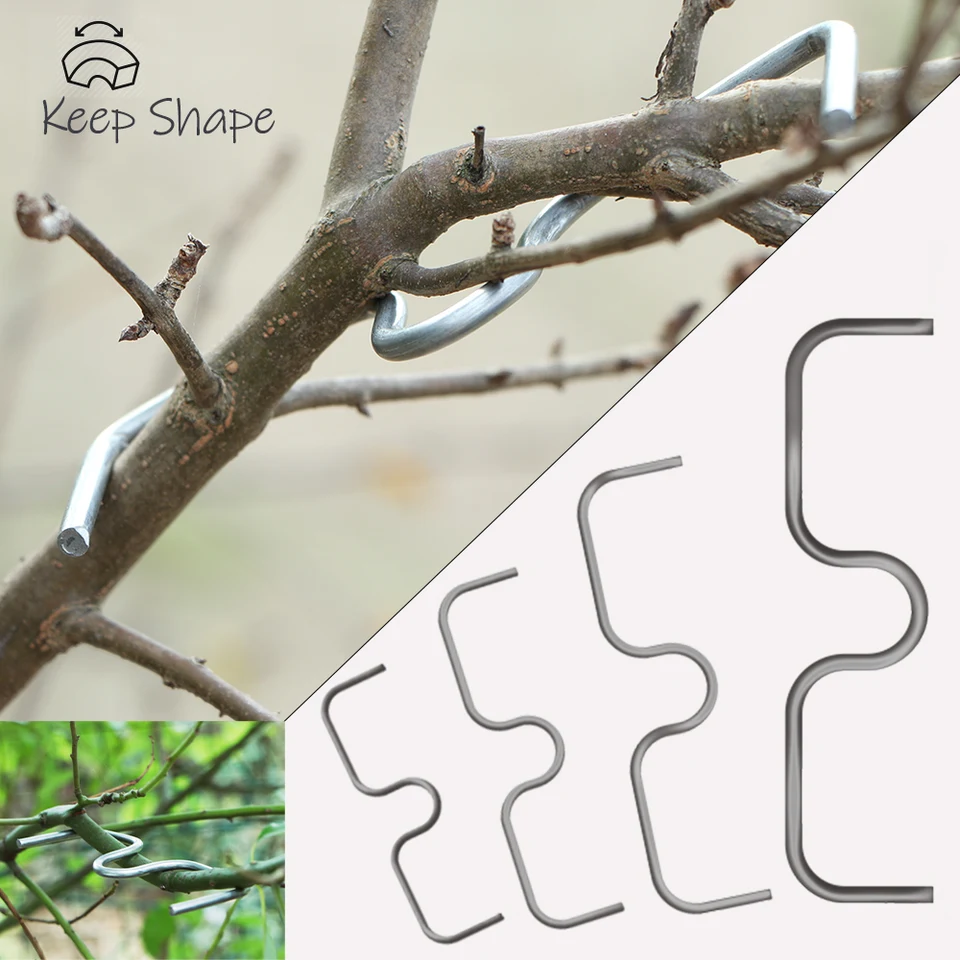 Esparcidor De Ramas Para árboles Frutales - Herramienta De Alambre De Acero Inoxidable, Pack De 20 Unidades | Ideal Para Jardín, Huerto Y Control De Crecimiento