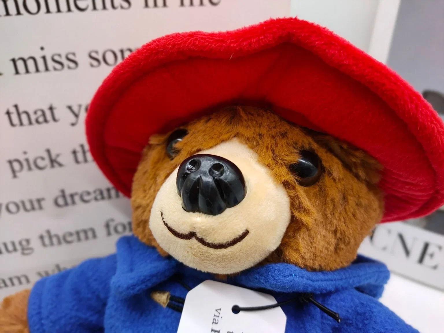 Peluche Paddington Ours Anglais