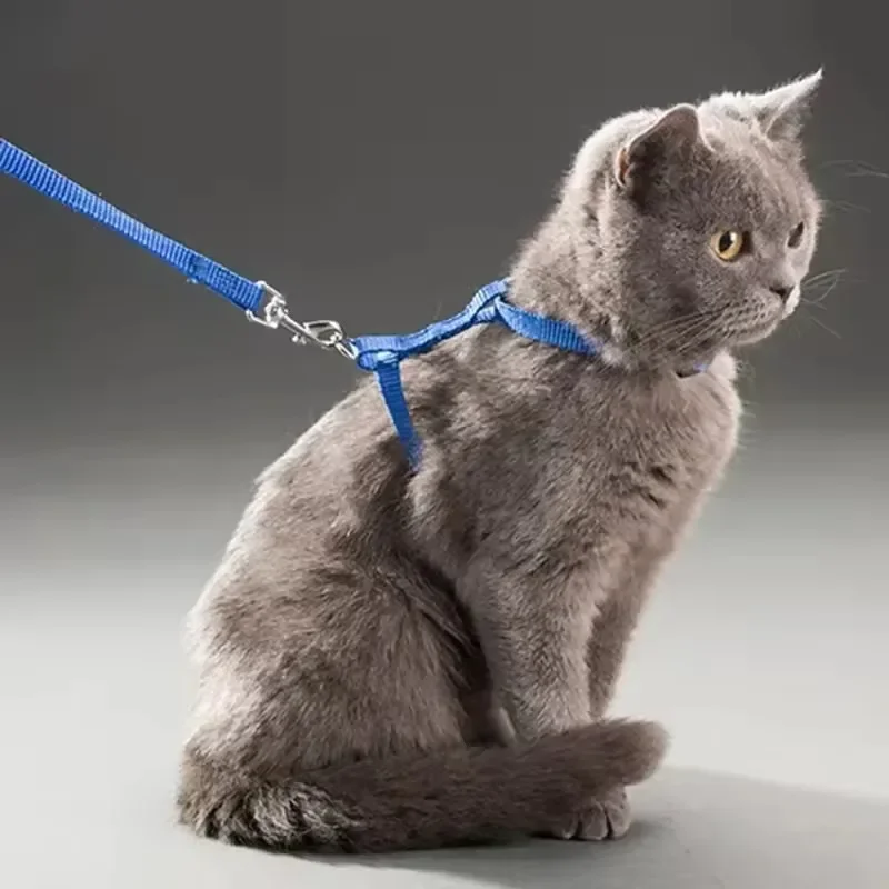 Cat Harness with Leash and Collar Set 4