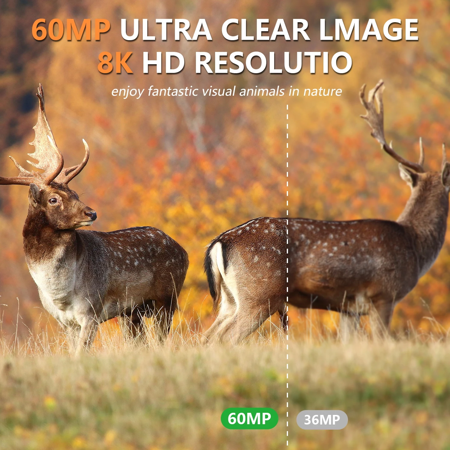 Solar Hunting Camera WiFi 8K 60MP Bluetooth Game Camera Motion Activated Night Vision 0.2s Trigger Time for Wildlife Monitoring