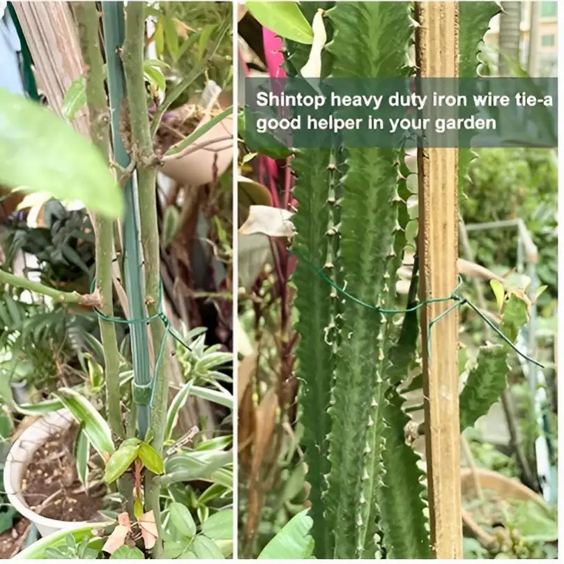 Plant Ties Plastic Coating Steel Wire Core Wrapping 25M/50M Round Tying Wire for Gardening Twig Trapping