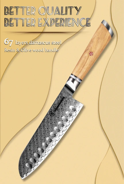 FUJUNI Santoku Knife 7-Inch VG-10 Cutting Core 67-Layer Damascus Professional Kitchen Knife Chef’s Knife with Natural Wood Hexagon Handle and Gift