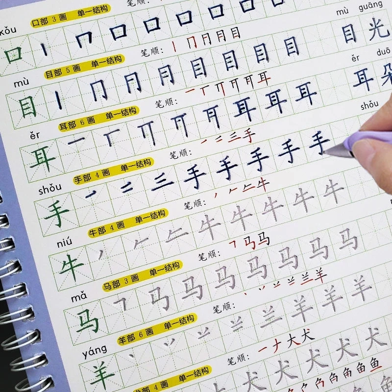 

Chinese Characters Reusable Groove Calligraphy Copybook Erasable Pen Learn Hanzi Adults Writing Books
