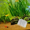 10/1pcs Aquarium Planarians Trap Acrylic Transparent 8-Hole Red Shrimp Worm Trap Leech Pest Catcher Fish Tank Cleaner Tools 3