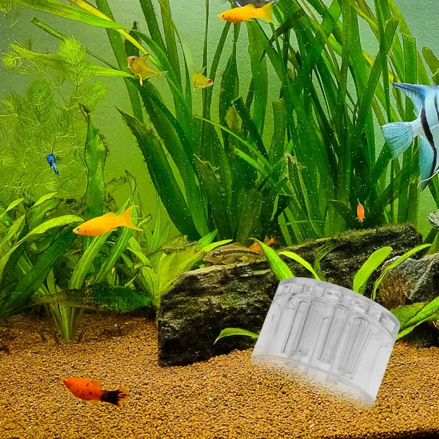 10/1pcs Aquarium Planarians Trap Acrylic Transparent 8-Hole Red Shrimp Worm Trap Leech Pest Catcher Fish Tank Cleaner Tools 3